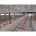 Complete Chicken Poultry shed farming equipment broiler floor ground raising feeder system
